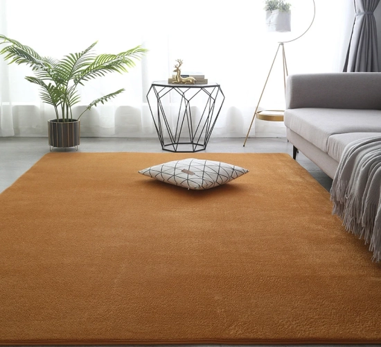 Thickened Carpet for Living Room Decor: Coral Fleece Large Area Rug for the Bedroom. Soft Mat suitable for Children's Play, Girls' Window Bedside, and Yoga.