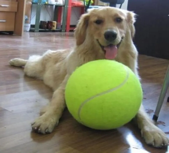 7/8/9.5-Inch Dog Tennis Ball: Giant Pet Toy for Dog Chewing, Signature Mega Jumbo Kids Ball - Training Supplies, Dropship Plush