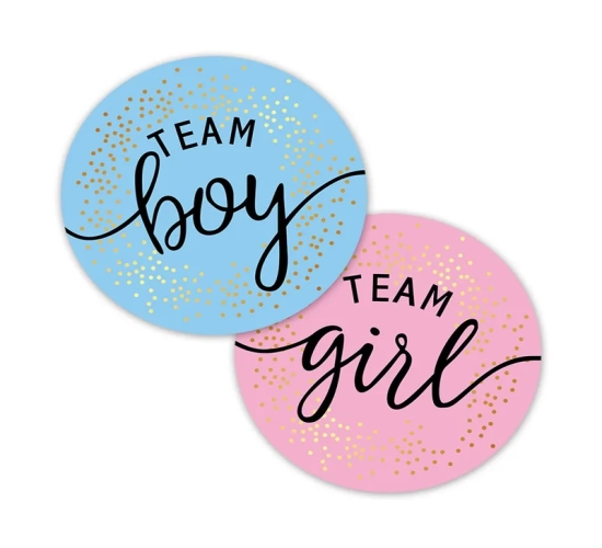 Gender Reveal Celebration Stickers: Team Boy and Team Girl Adhesive Labels for Baby Shower Decorations and Gift Boxes