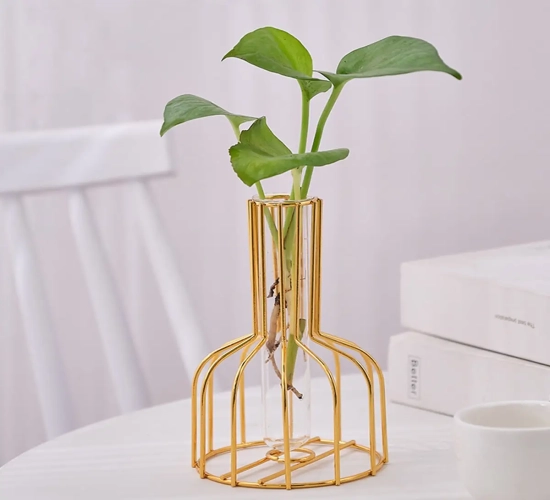 1 set of gold wrought iron metal vases with hydroponic containers and test tubes. Perfect for living room illustration decoration.