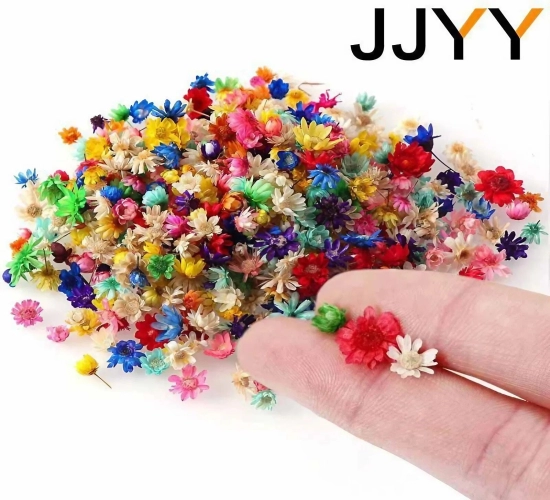 1 Pack of Multicolor Mini Dried Flowers: Perfect for DIY Art and Craft Projects, Epoxy Resin, Candle Making, Jewelry, Home Decor, and Party Decorations - Includes 100 Pcs